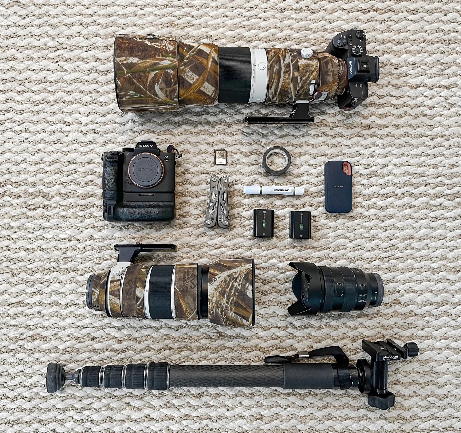 What's in my (wildlife photography) bag?