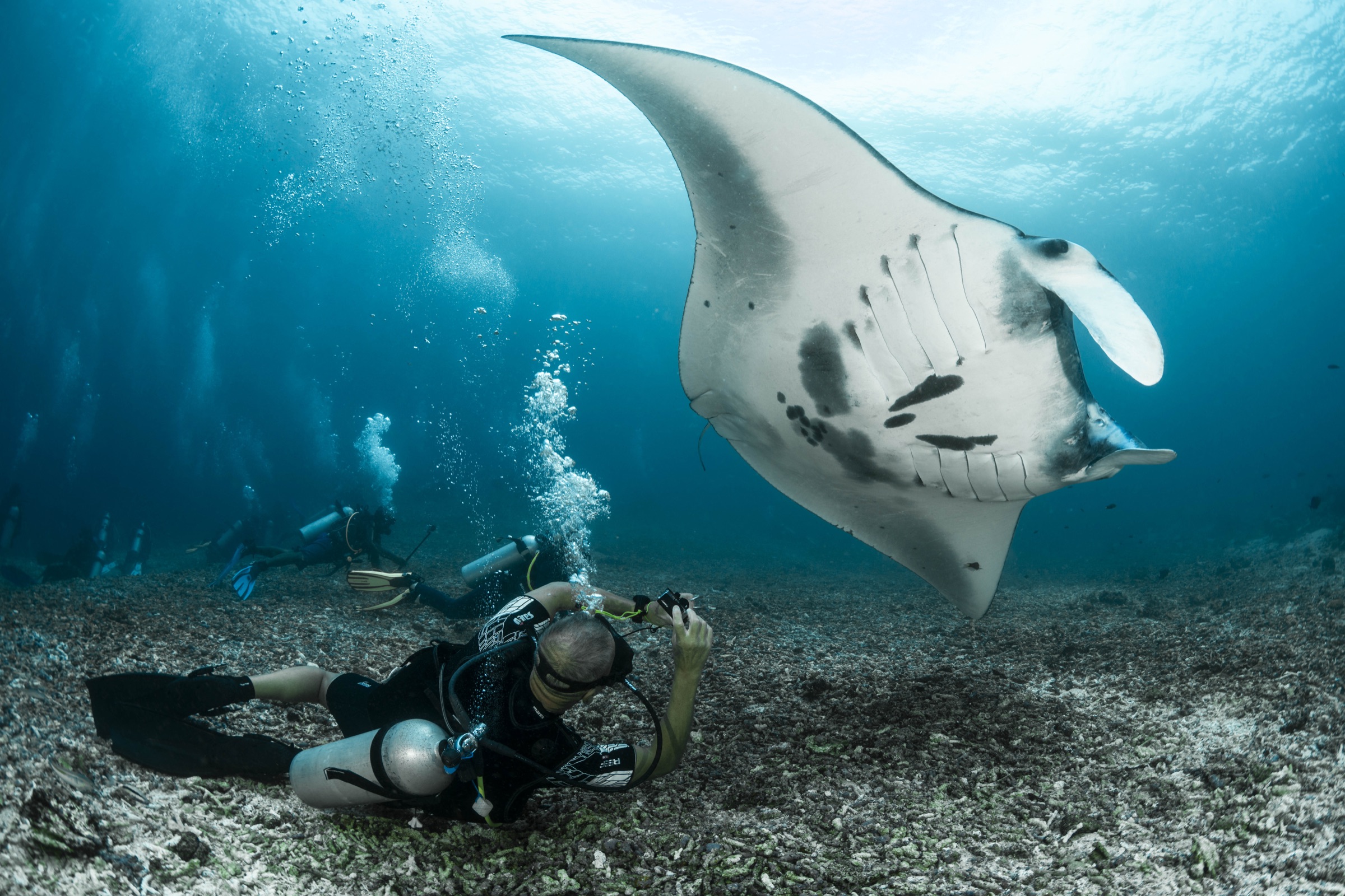 Ultimate Komodo Dive Liveaboard